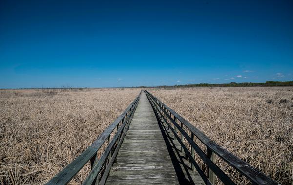 Transfert VIP Paris : La solution de transport privée perfectionnée pour vos déplacements